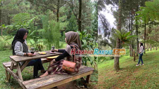 Wisata-Alam-Darmacaang-Ciamis-Rekomendasi-Liburan-Keluarga.jpg