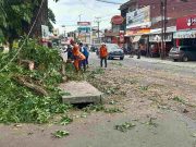 Antisipasi Kecelakaan, Tagana Pangandaran Tebang Pohon Pinggir Jalan Raya Antisipasi-Kecelakaan-Tagana-Pangandaran-Tebang-Pohon-Pinggir-Jalan-Raya.jpg