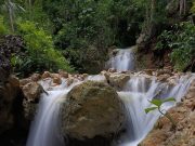 Performa Maksimal Kamera POCO M5 Buat Para POCO Fans Puas Banget! Hasil-Foto-M5.jpeg