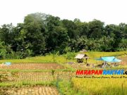 Hutan Larangan di Ciamis Jawa Barat, Jangan Sompral! Hutan-Larangan-di-Ciamis.jpg