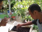 Wisata Lebah Madu Trigona Pangandaran Suguhkan Sensasi Sedot Madu dari Sarang IMG_20230119_211525_BeLltOjs3Q_FyVwTZ3087.jpeg