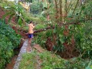 Saluran Irigasi di Ciakar Ciamis Tertimbun Longsor, Pasokan Air Tersumbat IMG_20230124_220458_9XGqe6HE2k_X8li71Rs2S.jpeg