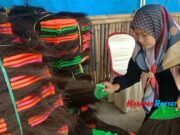 Ijuk Aren Asal Pangandaran Tembus ke Pasar Jepang Ijuk-Aren.jpg