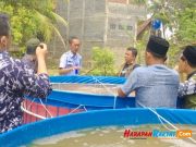 Pelet Mahal, Kelompok Perikanan di Kota Banjar Latihan Buat Pakan dari Bahan Lokal Kelompok-Ketahanan-Perikanan-di-Kota-Banjar.jpg