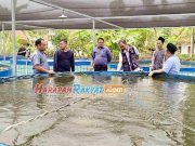 Kelompok Perikanan di Kota Banjar Dilatih Budidaya Sistem Bioflok Kelompok-Perikanan-di-Kota-Banjar-Dilatih-Budidaya-Sistem-Bioflok.jpg