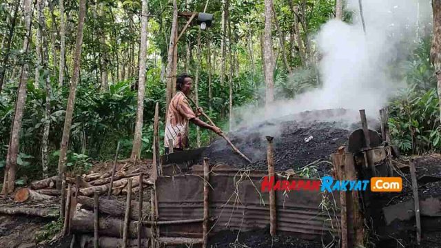 Pembuatan-arang-kayu.jpg