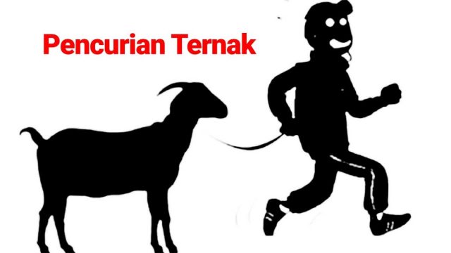 Pencurian-Ternak.jpg