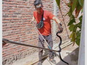 Petugas Damkar Tangkap Ular Kobra Jawa di Rumah Ketua Bawaslu Kota Banjar Petugas-Damkar-Kota-Banjar-Tangkap-Ular-Kobra-Jawa-di-Rumah-Ketua-Bawaslu.jpg