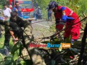 Jalan Penghubung Pamarican Cikupa di Ciamis Lumpuh Terhalang Pohon Tumbang Pohon.jpg