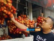 Produksi Rambutan Si Batulawang Kota Banjar Capai 783 Ton, Laris Manis Diburu Pembeli Rambutan-Si-Batulawang.jpg