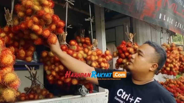 Rambutan-Si-Batulawang.jpg