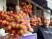 Rambutan si Batulawang Khas Kota Banjar Diburu Pembeli, Rasanya Full Manis Tak Bikin Sakit Perut Rambutan-si-Batulawang-Khas-Kota-Banjar-Diburu-Pembeli.jpg