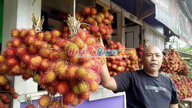 Rambutan-si-Batulawang-Khas-Kota-Banjar-Diburu-Pembeli.jpg