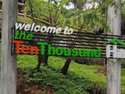 The Ten Thousand Hills Tasikmalaya, Wisata Perbukitan Sepuluh Ribu The-Ten-Thousand-Hills-Tasikmalaya.jpeg