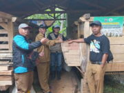Tingkatkan Perekonomian Masyarakat, Pemdes Bantarsari Ciamis Kembangkan Peternakan Domba Garut Tingkatkan-Perekonomian-Masyarakat-Pemdes-Bantarsari-Ciamis-Kembangkan-Peternakan-Domba-Garut.jpg