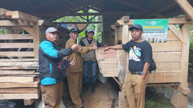 Tingkatkan-Perekonomian-Masyarakat-Pemdes-Bantarsari-Ciamis-Kembangkan-Peternakan-Domba-Garut.jpg