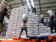 Stabilisasi Harga Beras, Pemkot Bandung Salurkan 500 Ton Beras beras-bulog-kota-bandung.jpeg