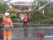 4 Pohon Tumbang di Jalan Nasional Ciamis Akibat Hujan Deras dan Angin Kencang 4-Pohon-Tumbang-di-Jalan-Nasional-Ciamis-Akibat-Hujan-Deras-dan-Angin-Kencang.jpg