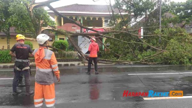 4-Pohon-Tumbang-di-Jalan-Nasional-Ciamis-Akibat-Hujan-Deras-dan-Angin-Kencang.jpg