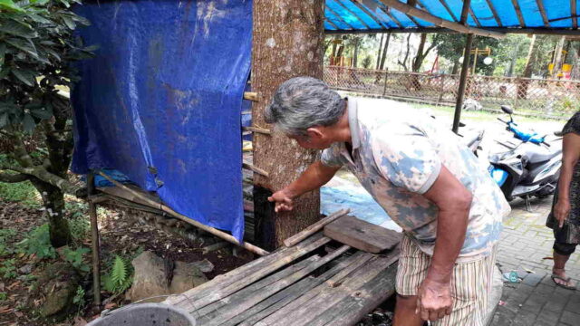 Aneh-Pohon-di-Obwis-Lembah-Pajamben-Kota-Banjar-Keluarkan-Cairan-Berbau-Pesing.jpg