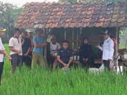 Antisipasi Serangan Hama, Ini yang Dilakukan BP3K Kawali Ciamis Antisipasi-Serangan-Hama-Ini-yang-Dilakukan-BP3K-Kawali-Ciamis.jpg