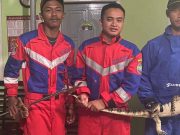 Ihhh Takut, Biawak Besar Masuk Rumah Warga Banjarsari Ciamis Biawak-Besar-Masuk-Rumah-Warga-Banjarsari-Ciamis.jpg