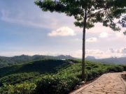 Desa Wisata Terindah di Jawa Barat Ada di 8 Daerah Ini, Cocok untuk Liburan Desa-Wisata.jpg