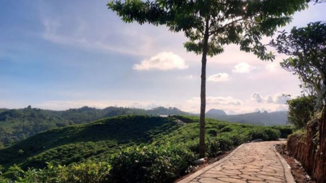 Desa-Wisata.jpg