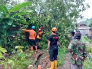 2 Rumah Warga Tertimpa Pohon Tumbang saat Hujan Deras di Banjar IMG_20230216_210431_YUsER7x01s_bGrwL3nD9v.jpeg
