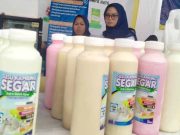 Diminati Masyarakat, Permintaan Produk Susu Kambing Perah di Banjar Tinggi IMG_20230219_162931_csiI9Kmg2S_4UmJtO5s1U.jpeg