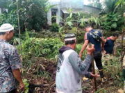 Kerap Memangsa Ternak, Warga Paledah Pangandaran dan Damkar Berburu Ular Piton Kerap-Mangsa-Ternak-Warga-Paledah-Pangandaran-dan-Damkar-Berburu-Ular-Piton.jpg