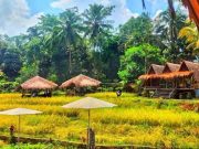 Sawah Geulis Tasikmalaya, Wisata Persawahan yang Cantik Objek-Wisata-Sawah-Geulis-Tasikmalaya.jpg