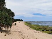 Pantai Karang Papak Garut, Bisa Camping Pinggir Laut Pantai-Karang-Papak-Garut.jpeg