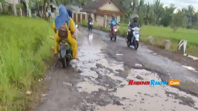 Pemerintah-Turun-Tangan.jpg