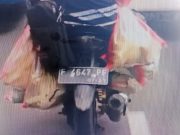 Viral Video Pemotor Bawa Karung Berisi 6 Kucing di Bogor, Begini Faktanya Pemotor-Bawa-Karung-Berisi-6-Kucing-di-Bogor-Viral.jpeg