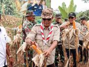 Perkuat Ketahanan Pangan, Dandim 0613 Ciamis Bersama Bupati dan Ketua DPRD Panen Raya Jagung Perkuat-Ketahanan-Pangan-Dandim-0613-Ciamis-Bersama-Bupati-dan-Ketua-DPRD-Panen-Raya-Jagung.jpg