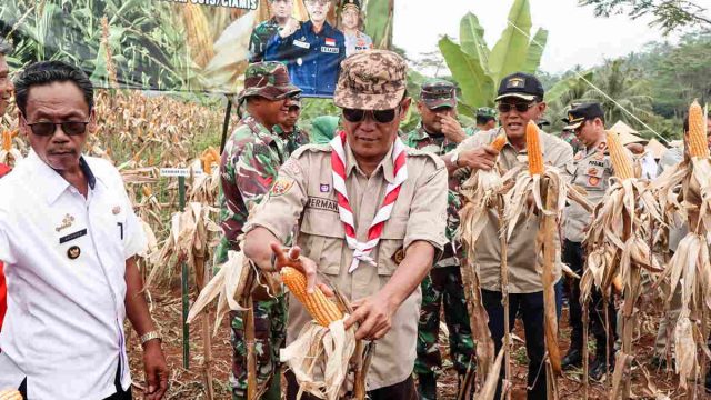 Perkuat-Ketahanan-Pangan-Dandim-0613-Ciamis-Bersama-Bupati-dan-Ketua-DPRD-Panen-Raya-Jagung.jpg