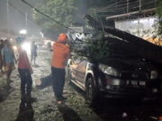 Sebuah Pohon Kedondong Tumbang Timpa Minibus di Tambun Bekasi Sebuah-Pohon-Kedondong-Tumbang-Timpa-Minibus-di-Tambun-Bekasi.jpg