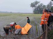 Innalillahi, Mayat Pria Ditemukan Terkubur Lumpur di Sawah Kota Banjar Temu-Mayat.jpg