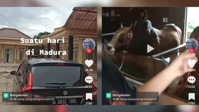 Viral-rumah-mewah-jadi-kandang-sapi-di-Madura.jpeg