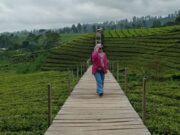 Cek Rekomendasi Tempat Wisata Murah di Kabupaten Bandung nuansa-riung-gunung-pangalengan.jpeg