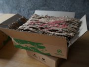 Lazada Terus Perkuat Ekonomi Digital yang Berkelanjutan wp-1675220787423.jpg