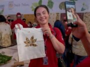Batik Dahon Ecoprint Asal Cijulang Pangandaran Tembus Kota Besar di Indonesia dan Asia Batik-Dahon.jpg