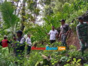 Puluhan Rumah Terancam Pergerakan Tanah di Cisompet Garut Bencana-Pergerakan-Tanah-di-Cisompet-Garut.jpg