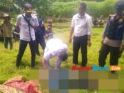 Saat Cari Rumput, Warga Ciamis Ini Ditemukan Meninggal Dunia Cari-rumput.jpg
