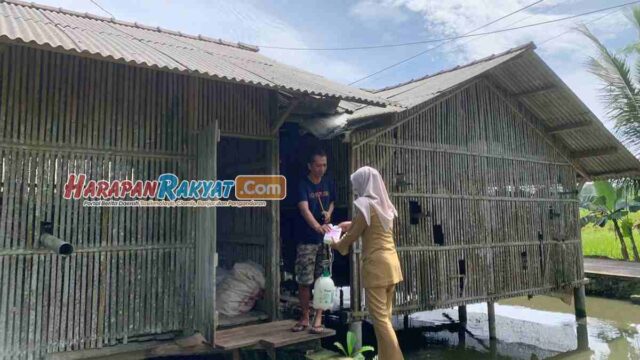 Ciamis-Penghasil-Ayam-Pedaging-Kedua-di-Jabar-dan-Nasional.jpg