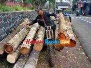 Seorang Guru Honorer asal Cipaku Ciamis Alih Profesi Jadi Tukang Angkut Kayu Guru-Honorer.jpg