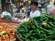 Jelang Ramadhan, Harga Sayuran di Kota Banjar Merangkak Naik, Cabai Rawit Tembus Rp80 Ribu Harga-Cabai-Rawit-Naik-di-Kota-Banjar.jpg
