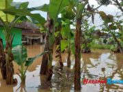 Hujan Deras, 3 Desa di Kecamatan Panumbangan Ciamis Terendam Banjir Hujan-Deras-3-Desa-di-Kecamatan-Panumbangan-Ciamis-Terendam-Banjir.jpg