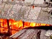 Diduga Korsleting Listrik, 3 Rumah di Tasikmalaya Hangus Terbakar IMG_20230305_163037_3gURt81770_9ZyZ4XyS10.jpeg